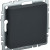 BRITE Заглушка с суппортом МЗ10-БрГ графит IEK, BR-PL10-K53