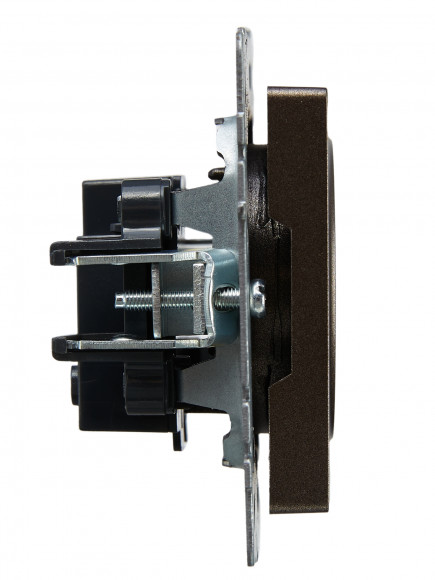 IEK BRITE Розетка 1-местная без заземления без защитных шторок 10А РС10-1-0-БрТБ темная бронза , BR-R10-10-K45