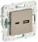 IEK SKANDY Розетка USB A+C 3,1А SK-R14Sh шампань , SK-U22-D31-K37