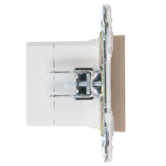 IEK SKANDY Розетка USB A+C 3,1А SK-R14Sh шампань , SK-U22-D31-K37
