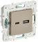 IEK SKANDY Розетка USB A+C 3,1А SK-R14Sh шампань , SK-U22-D31-K37