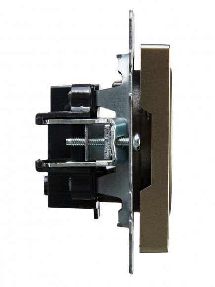 IEK BRITE Розетка 1-местная без заземления без защитных шторок 10А РС10-1-0-БрШ шампань , BR-R10-10-K37