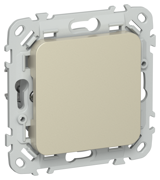 IEK FLITE Заглушка с суппортом ЗГ-ФлШ шампань IEK, FI-PL10-K37