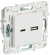 IEK SKANDY Розетка USB A+C 3,1А SK-R14W арктический белый , SK-U22-D31-K01