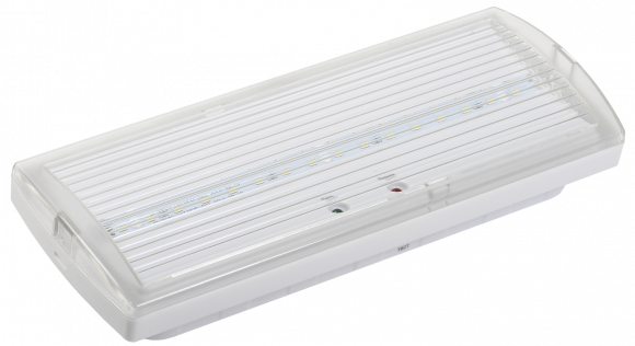 IEK Светильник аварийный ДПА 5030-1 постоянный 1ч IP20 IEK, LDPA0-5030-1H-K01