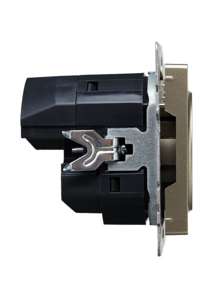 IEK BRITE Розетка 1-местная с заземлением с защитными шторками 16А с USB A+C 18Вт РЮш11-1-БрШ шампань , BR-R14-16-U22-018-K37