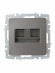 IEK BRITE Розетка двойная RJ11+RJ45 кат.5E РК/Т12-БрС сталь , BR-KT20-O-1-K46