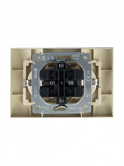 IEK BRITE Розетка 2-местная с заземлением без защитных шторок 16А в сборе РС12-3-БрА алюминий , BR-R21-16-K47-F