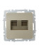 IEK BRITE Розетка двойная RJ11+RJ45 кат.5E РК/Т12-БрШ шампань , BR-KT20-O-1-K37
