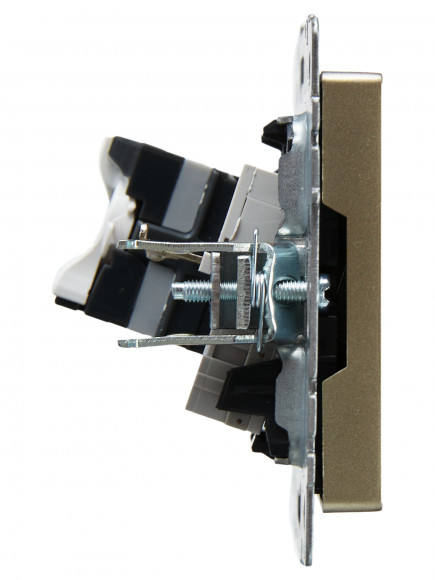 IEK BRITE Розетка двойная RJ11+RJ45 кат.5E РК/Т12-БрШ шампань , BR-KT20-O-1-K37