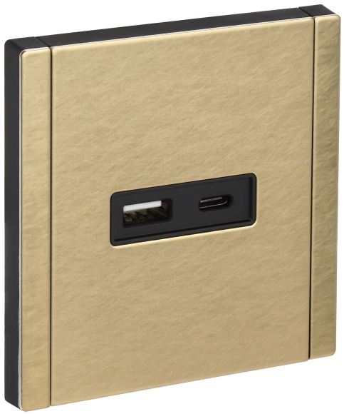 IEK FORTE&PIANO Розетка USB A+C 3,1А FP650M металл шампань IEK, FP-U22-D31-M-K37