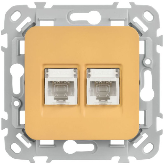 IEK FLITE Розетка 2-местная компьютерная RJ45 категория 5Е UTP РК5е-2-0-ФлШм шамуа IEK, FI-K22-1-K89 IEK FLITE Розетка 2-местная компьютерная RJ45 категория 5Е UTP РК5е-2-0-ФлШм шамуа IEK, FI-K22-1-K89