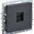 BRITE Розетка компьютерная RJ45 кат.6 РК11-БрГ графит IEK, BR-K10-2-K53