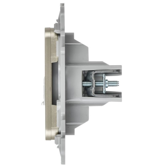 IEK FLITE Розетка 2-местная RJ45/TV категория 5Е UTP РКТВ5е-2-0-ФлШ шампань IEK, FI-AK22-1-K37