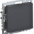 BRITE Выключатель 1-клавишный проходной 10А ВС10-1-6-БрГ графит IEK, BR-V12-0-10-K53