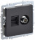 IEK BRITE Розетка двойная TV+RJ45 кат.5E РТВ/РК12-БрГ графит , BR-AK20-1-K53
