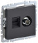 IEK BRITE Розетка двойная TV+RJ45 кат.5E РТВ/РК12-БрГ графит , BR-AK20-1-K53