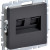 BRITE Розетка компьютерная двойная RJ45 кат.6 РК11-2-БрГ графит IEK, BR-K20-2-K53