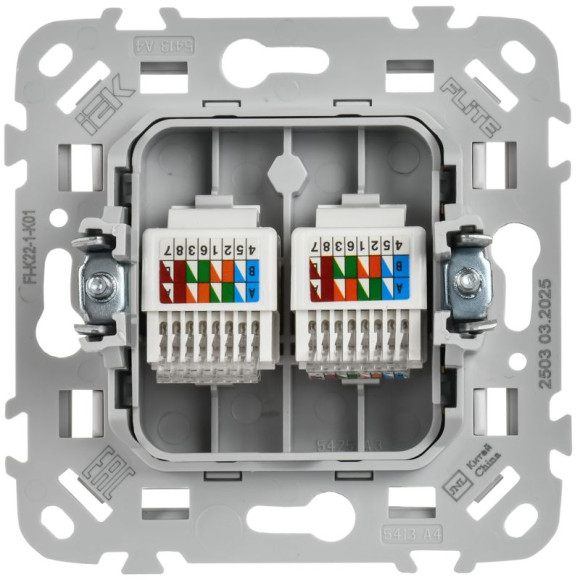 IEK FLITE Розетка 2-местная компьютерная RJ45 категория 5Е UTP РК5е-2-0-ФлБ белый IEK, FI-K22-1-K01 IEK FLITE Розетка 2-местная компьютерная RJ45 категория 5Е UTP РК5е-2-0-ФлБ белый IEK, FI-K22-1-K01