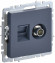 IEK BRITE Розетка двойная TV+RJ45 кат.5E РТВ/РК12-БрМ маренго IEK, BR-AK20-1-K35