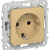 FLITE Розетка с заземлением с защитными шторками безвинтовое крепление 16А РСш11-1-ФлШм шамуа IEK, FI-R14-16-1-K89