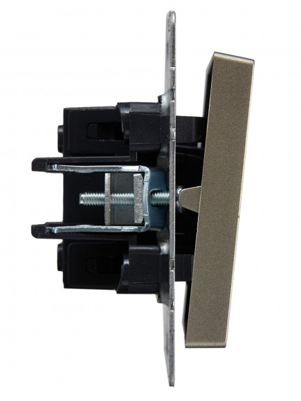 IEK BRITE Выключатель 1-клавишный проходной 10А ВС10-1-6-БрШ шампань , BR-V12-0-10-K37