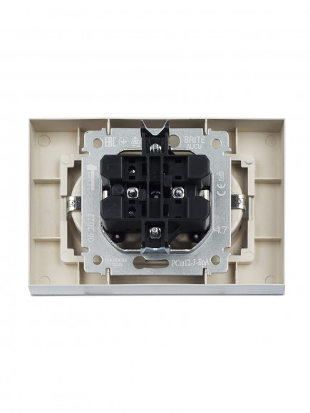 IEK BRITE Розетка 2-местная с заземлением с защитными шторками 16А в сборе РСш12-3-БрА алюминий , BR-R24-16-K47-F