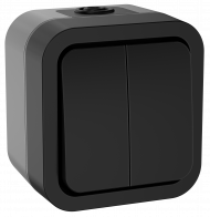 TORS Выключатель двухклавишный 10А IP55 TS105 графит IEK, TS-V20-0-10-55-K53