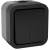TORS Выключатель двухклавишный 10А IP55 TS105 графит IEK, TS-V20-0-10-55-K53