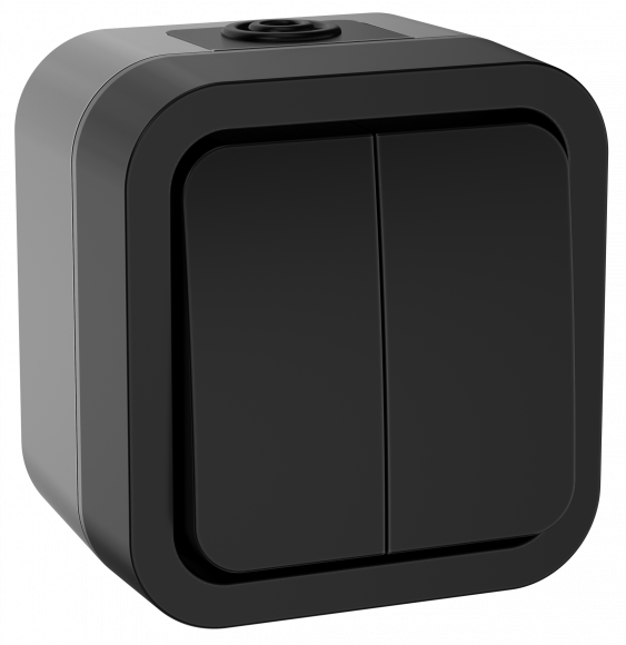 IEK TORS Выключатель двухклавишный 10А IP55 TS105 графит IEK, TS-V20-0-10-55-K53
