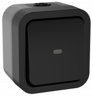 TORS Переключатель одноклавишный с индикацией 10А IP55 TS102 графит IEK, TS-V10-1-10-55-K53