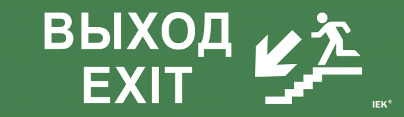 IEK Этикетка самоклеящаяся 310х90мм "Выход/лестница вниз/фигура" IEK, LPC10-1-31-09-VLVNF