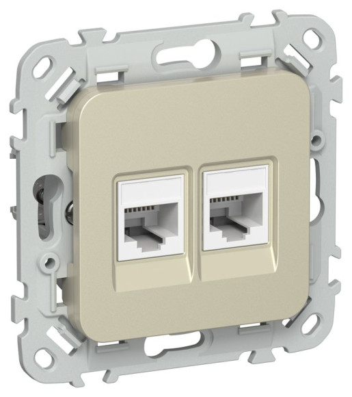IEK FLITE Розетка 2-местная компьютерная RJ45 категория 5Е UTP РК5е-2-0-ФлШ шампань IEK, FI-K22-1-K37 IEK FLITE Розетка 2-местная компьютерная RJ45 категория 5Е UTP РК5е-2-0-ФлШ шампань IEK, FI-K22-1-K37