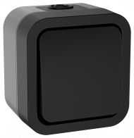 TORS Выключатель кнопочный 10А IP55 TS110 графит IEK, TS-V14-0-10-55-K53