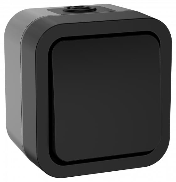 IEK TORS Выключатель кнопочный 10А IP55 TS110 графит IEK, TS-V14-0-10-55-K53