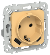 FLITE Розетка 1-местная с заземлением с защитными шторками 16А с USB A+C 20Вт безвинтовое крепление РСЮшс11-1-ФлЗ золотарник IEK, FI-R14-16-1-U22-020-K90