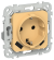 IEK FLITE Розетка 1-местная с заземлением с защитными шторками 16А с USB A+C 20Вт безвинтовое крепление РСЮшс11-1-ФлЗ золотарник IEK, FI-R14-16-1-U22-020-K90