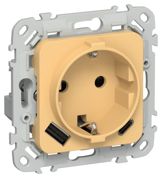 IEK FLITE Розетка 1-местная с заземлением с защитными шторками 16А с USB A+C 20Вт безвинтовое крепление РСЮшс11-1-ФлЗ золотарник IEK, FI-R14-16-1-U22-020-K90
