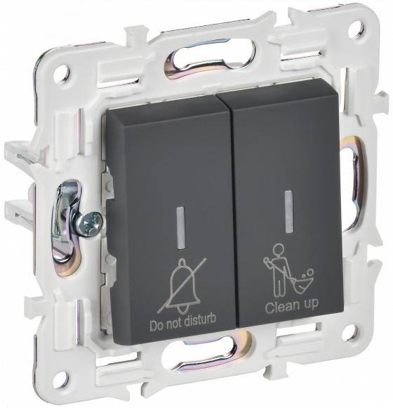 IEK SKANDY Выключатель 2-клавишный с индикацией для отелей 10А SK-V16G графит , SK-V20-2-10-K53