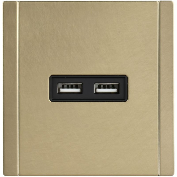 IEK FORTE&PIANO Розетка USB A+A 3,1А FP649M металл шампань IEK, FP-U21-D31-M-K37