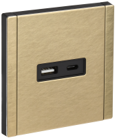 FORTE&PIANO Розетка USB A+C 18Вт FP651M металл шампань IEK, FP-U22-018-M-K37 FORTE&PIANO Розетка USB A+C 18Вт FP651M металл шампань IEK, FP-U22-018-M-K37