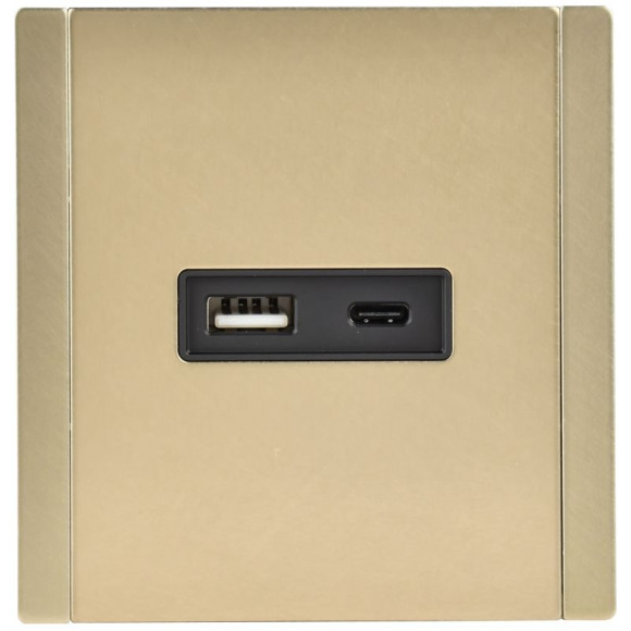 IEK FORTE&PIANO Розетка USB A+C 18Вт FP651M металл шампань IEK, FP-U22-018-M-K37