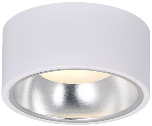 IEK LIGHTING Светильник 4017 накладной потолочный под лампу GX53 белый/хром IEK, LT-UPB0-4017-GX53-1-K54 IEK LIGHTING Светильник 4017 накладной потолочный под лампу GX53 белый/хром IEK, LT-UPB0-4017-GX53-1-K54