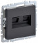 IEK BRITE Розетка компьютерная двойная RJ45 кат.5E РК10-2-БрГ графит IEK, BR-K20-1-K53