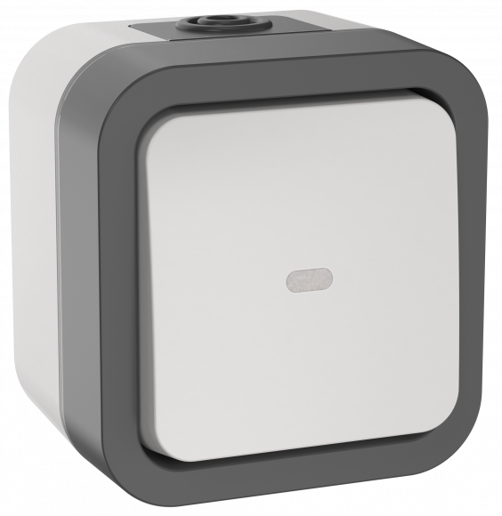 IEK TORS Переключатель одноклавишный с индикацией 10А IP55 TS202 серо-белый IEK, TS-V10-1-10-55-K41