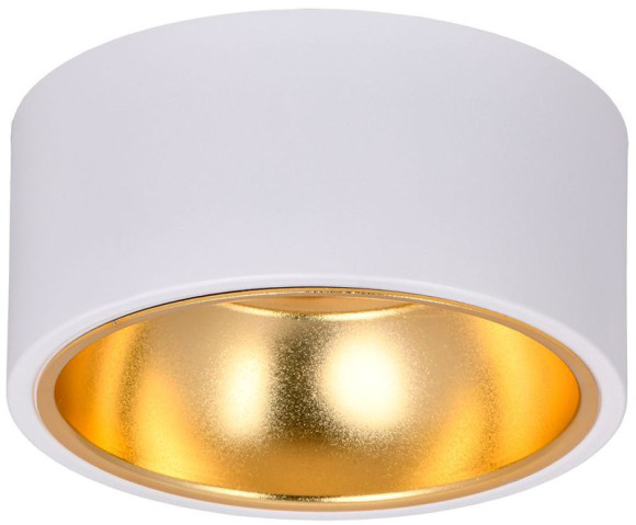 IEK LIGHTING Светильник 4017 накладной потолочный под лампу GX53 белый/золото IEK, LT-UPB0-4017-GX53-1-K55 IEK LIGHTING Светильник 4017 накладной потолочный под лампу GX53 белый/золото IEK, LT-UPB0-4017-GX53-1-K55