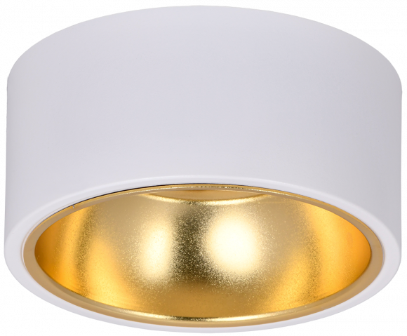 IEK LIGHTING Светильник 4017 накладной потолочный под лампу GX53 белый/золото IEK, LT-UPB0-4017-GX53-1-K55