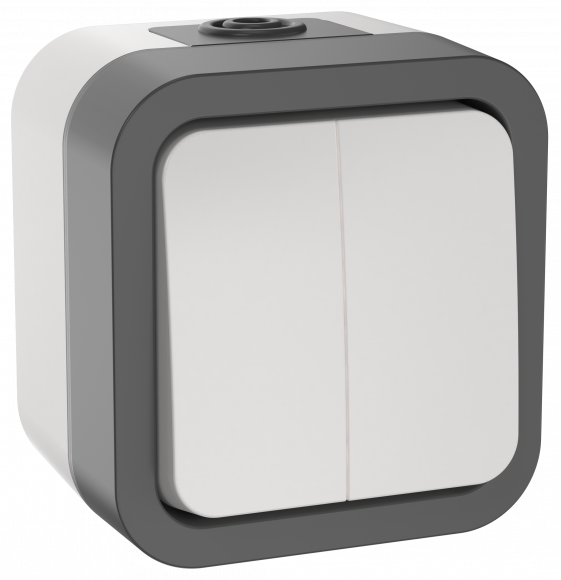 IEK TORS Выключатель двухклавишный 10А IP55 TS205 серо-белый IEK, TS-V20-0-10-55-K41