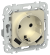 IEK FLITE Розетка 1-местная с заземлением с защитными шторками 16А с USB A+A 3,1А РСЮша11-0-ФлШ шампань IEK, FI-R14-16-U21-D31-K37
