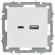 IEK BRITE Розетка USB A+C 18Вт РЮ11-1-БрАБ арктический белый IEK, BR-U22-018-K91